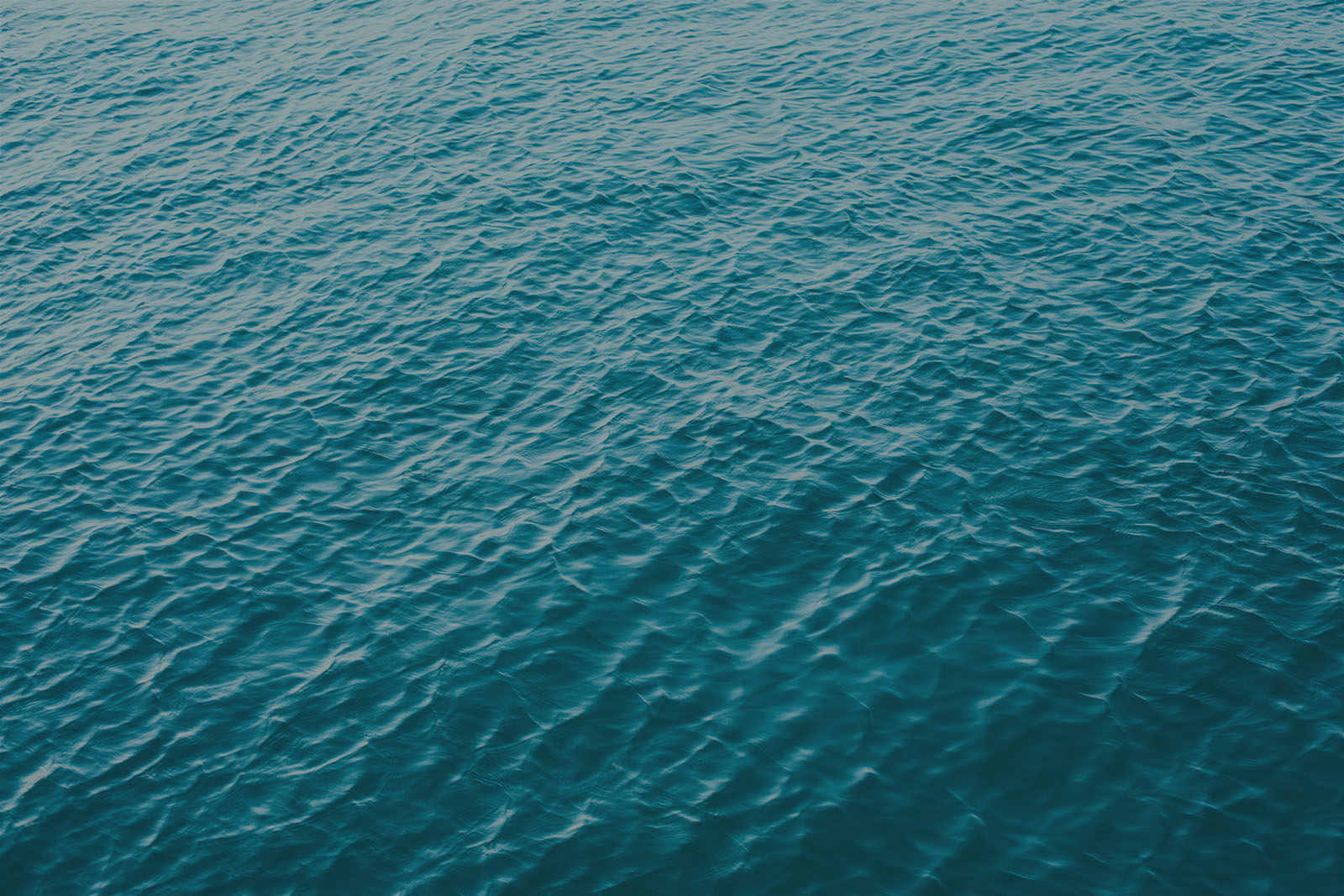 SHORE SERVICE