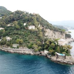 Shore Service - Portofino